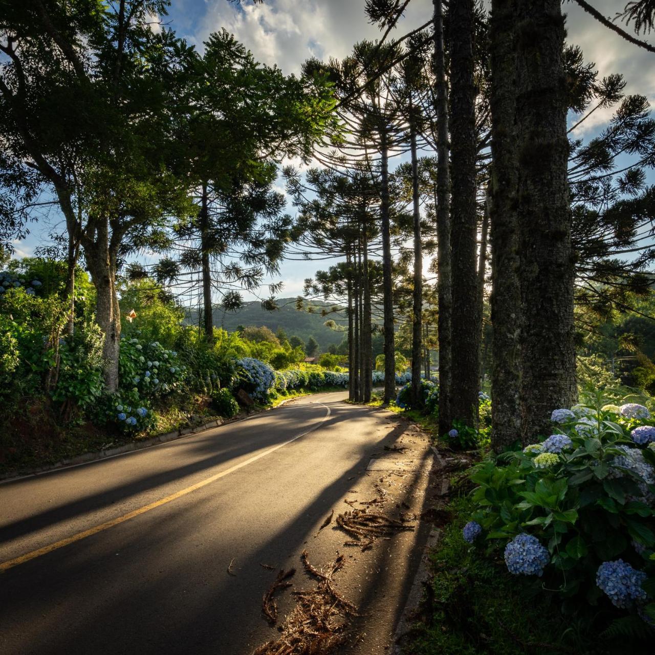 Hotel Fioreze Chales Gramado Exterior foto